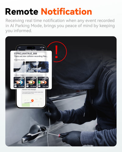 LTE Module voor S1 Pro/N2X